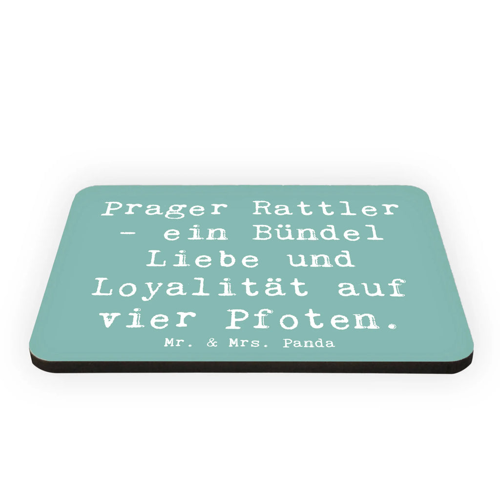 Magnet Spruch Prager Rattler Kühlschrankmagnet, Pinnwandmagnet, Souvenir Magnet, Motivmagnete, Dekomagnet, Whiteboard Magnet, Notiz Magnet, Kühlschrank Dekoration, Hund, Hunderasse, Rassehund, Hundebesitzer, Geschenk, Tierfreund, Schenken, Welpe