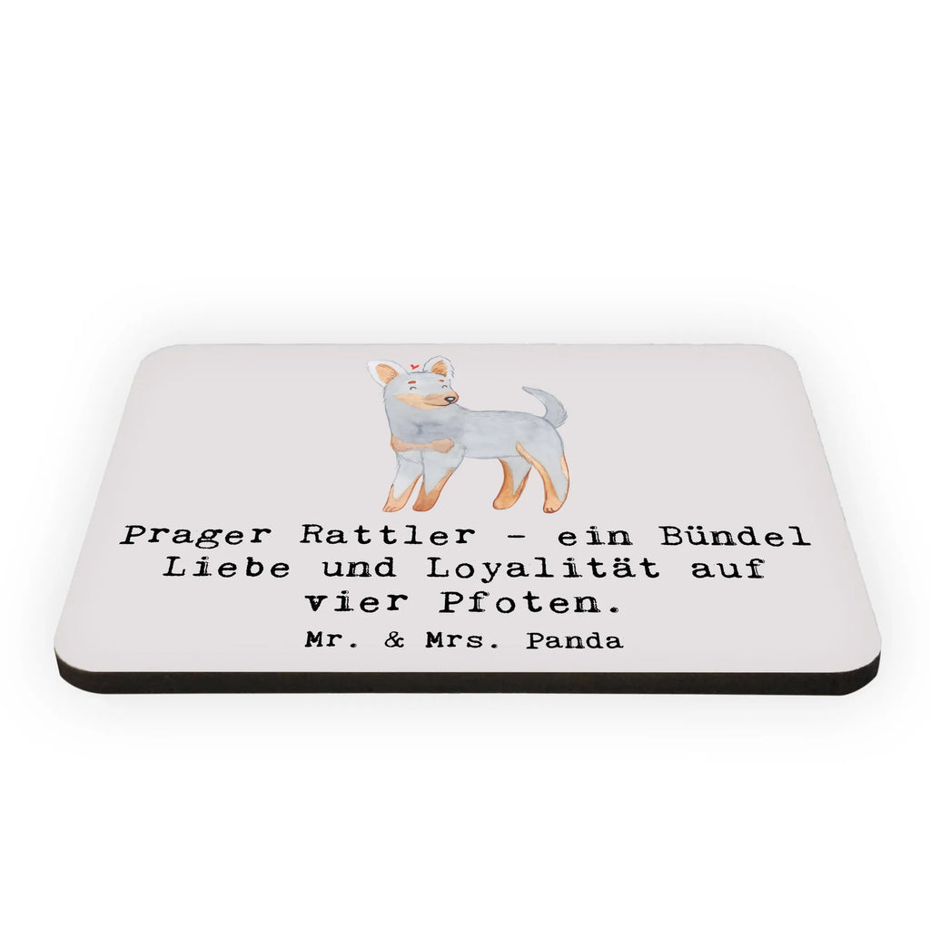 Magnet Prager Rattler Kühlschrankmagnet, Pinnwandmagnet, Souvenir Magnet, Motivmagnete, Dekomagnet, Whiteboard Magnet, Notiz Magnet, Kühlschrank Dekoration, Hund, Hunderasse, Rassehund, Hundebesitzer, Geschenk, Tierfreund, Schenken, Welpe