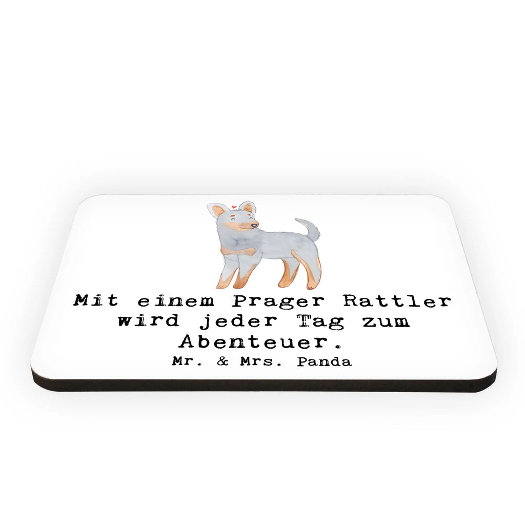 Magnet Prager Rattler Abenteuer Kühlschrankmagnet, Pinnwandmagnet, Souvenir Magnet, Motivmagnete, Dekomagnet, Whiteboard Magnet, Notiz Magnet, Kühlschrank Dekoration, Hund, Hunderasse, Rassehund, Hundebesitzer, Geschenk, Tierfreund, Schenken, Welpe