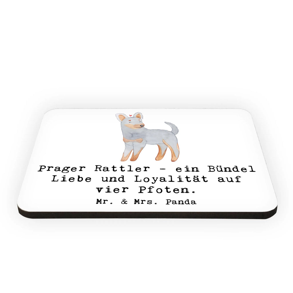 Magnet Prager Rattler Kühlschrankmagnet, Pinnwandmagnet, Souvenir Magnet, Motivmagnete, Dekomagnet, Whiteboard Magnet, Notiz Magnet, Kühlschrank Dekoration, Hund, Hunderasse, Rassehund, Hundebesitzer, Geschenk, Tierfreund, Schenken, Welpe