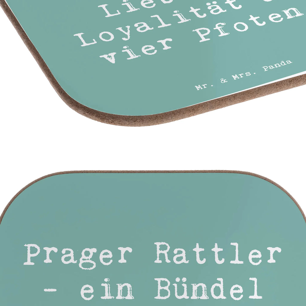 Untersetzer Spruch Prager Rattler Untersetzer, Bierdeckel, Glasuntersetzer, Untersetzer Gläser, Getränkeuntersetzer, Untersetzer aus Holz, Untersetzer für Gläser, Korkuntersetzer, Untersetzer Holz, Holzuntersetzer, Tassen Untersetzer, Untersetzer Design, Hund, Hunderasse, Rassehund, Hundebesitzer, Geschenk, Tierfreund, Schenken, Welpe