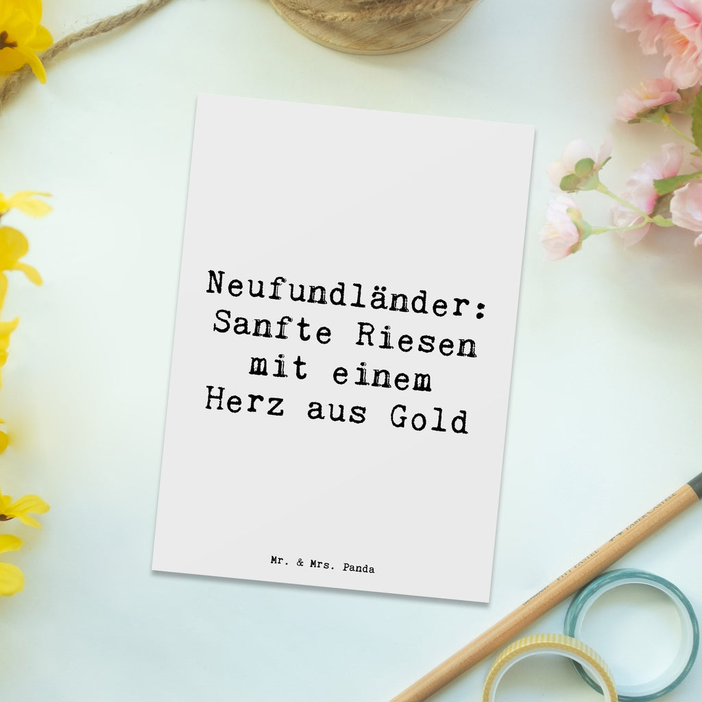 Postkarte Spruch Neufundländer Liebe Postkarte, Karte, Geschenkkarte, Grußkarte, Einladung, Ansichtskarte, Geburtstagskarte, Einladungskarte, Dankeskarte, Ansichtskarten, Einladung Geburtstag, Einladungskarten Geburtstag, Hund, Hunderasse, Rassehund, Hundebesitzer, Geschenk, Tierfreund, Schenken, Welpe