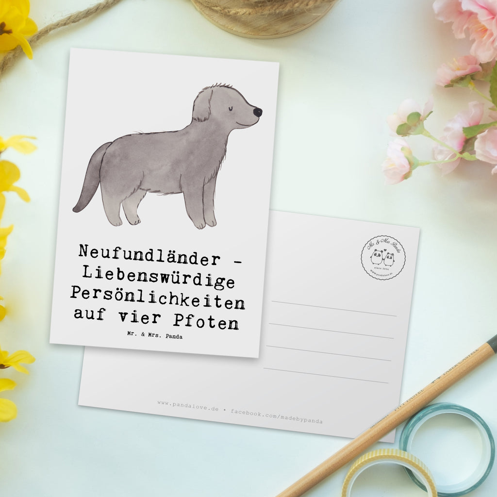 Postkarte Neufundländer Persönlichkeiten Postkarte, Karte, Geschenkkarte, Grußkarte, Einladung, Ansichtskarte, Geburtstagskarte, Einladungskarte, Dankeskarte, Ansichtskarten, Einladung Geburtstag, Einladungskarten Geburtstag, Hund, Hunderasse, Rassehund, Hundebesitzer, Geschenk, Tierfreund, Schenken, Welpe