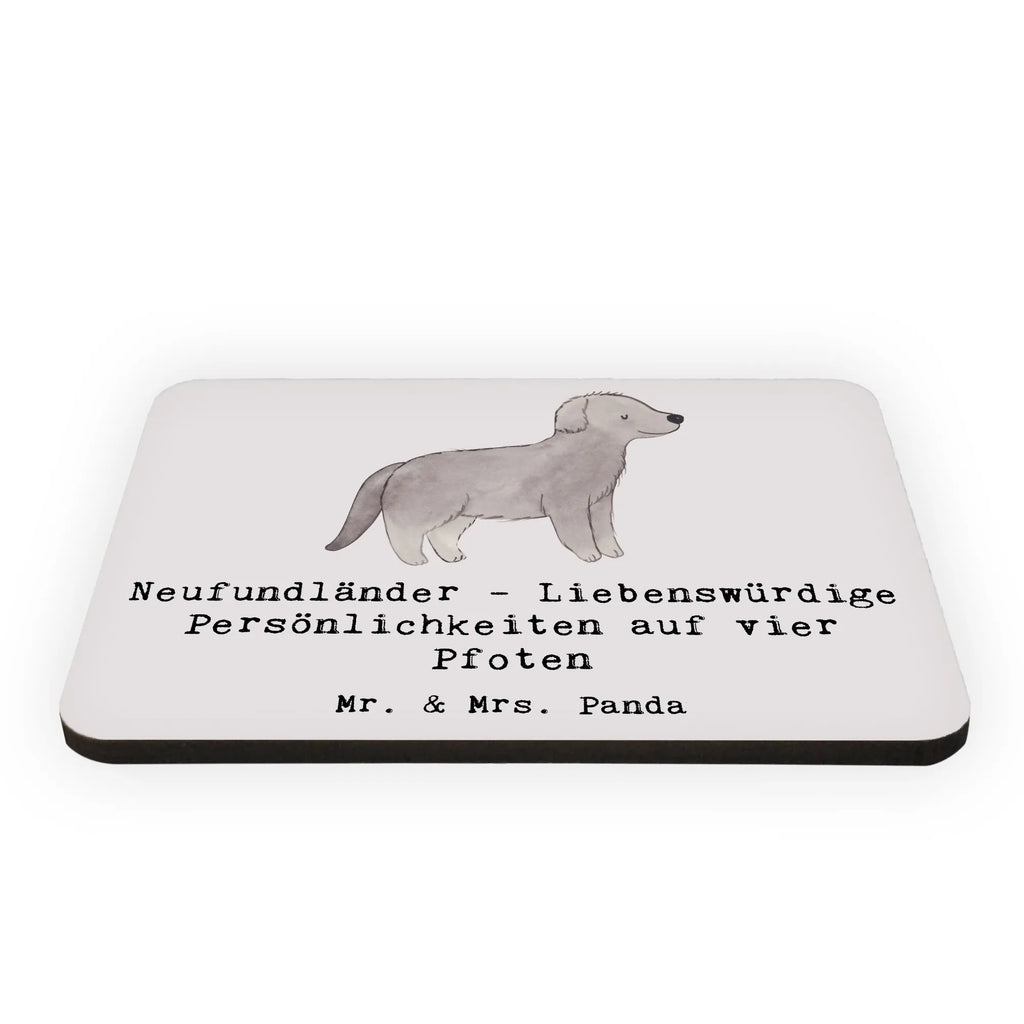 Magnet Neufundländer Persönlichkeiten Kühlschrankmagnet, Pinnwandmagnet, Souvenir Magnet, Motivmagnete, Dekomagnet, Whiteboard Magnet, Notiz Magnet, Kühlschrank Dekoration, Hund, Hunderasse, Rassehund, Hundebesitzer, Geschenk, Tierfreund, Schenken, Welpe