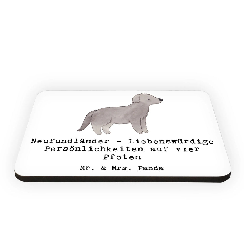 Magnet Neufundländer Persönlichkeiten Kühlschrankmagnet, Pinnwandmagnet, Souvenir Magnet, Motivmagnete, Dekomagnet, Whiteboard Magnet, Notiz Magnet, Kühlschrank Dekoration, Hund, Hunderasse, Rassehund, Hundebesitzer, Geschenk, Tierfreund, Schenken, Welpe