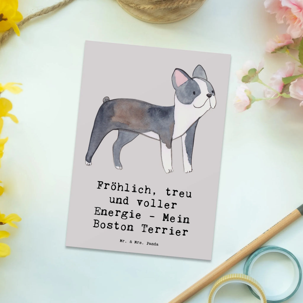 Postkarte Boston Terrier Freude Postkarte, Karte, Geschenkkarte, Grußkarte, Einladung, Ansichtskarte, Geburtstagskarte, Einladungskarte, Dankeskarte, Ansichtskarten, Einladung Geburtstag, Einladungskarten Geburtstag, Hund, Hunderasse, Rassehund, Hundebesitzer, Geschenk, Tierfreund, Schenken, Welpe