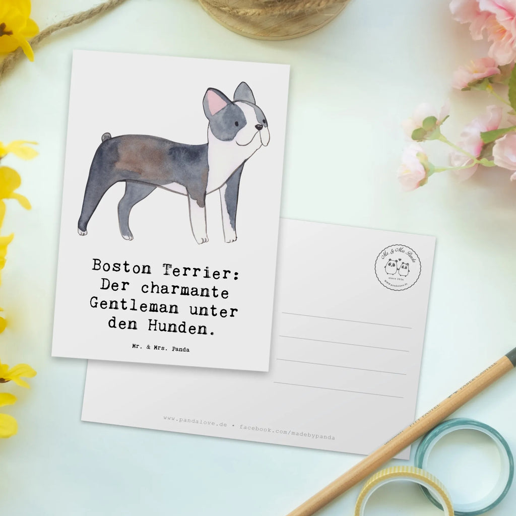 Postkarte Boston Terrier Gentleman Postkarte, Karte, Geschenkkarte, Grußkarte, Einladung, Ansichtskarte, Geburtstagskarte, Einladungskarte, Dankeskarte, Ansichtskarten, Einladung Geburtstag, Einladungskarten Geburtstag, Hund, Hunderasse, Rassehund, Hundebesitzer, Geschenk, Tierfreund, Schenken, Welpe