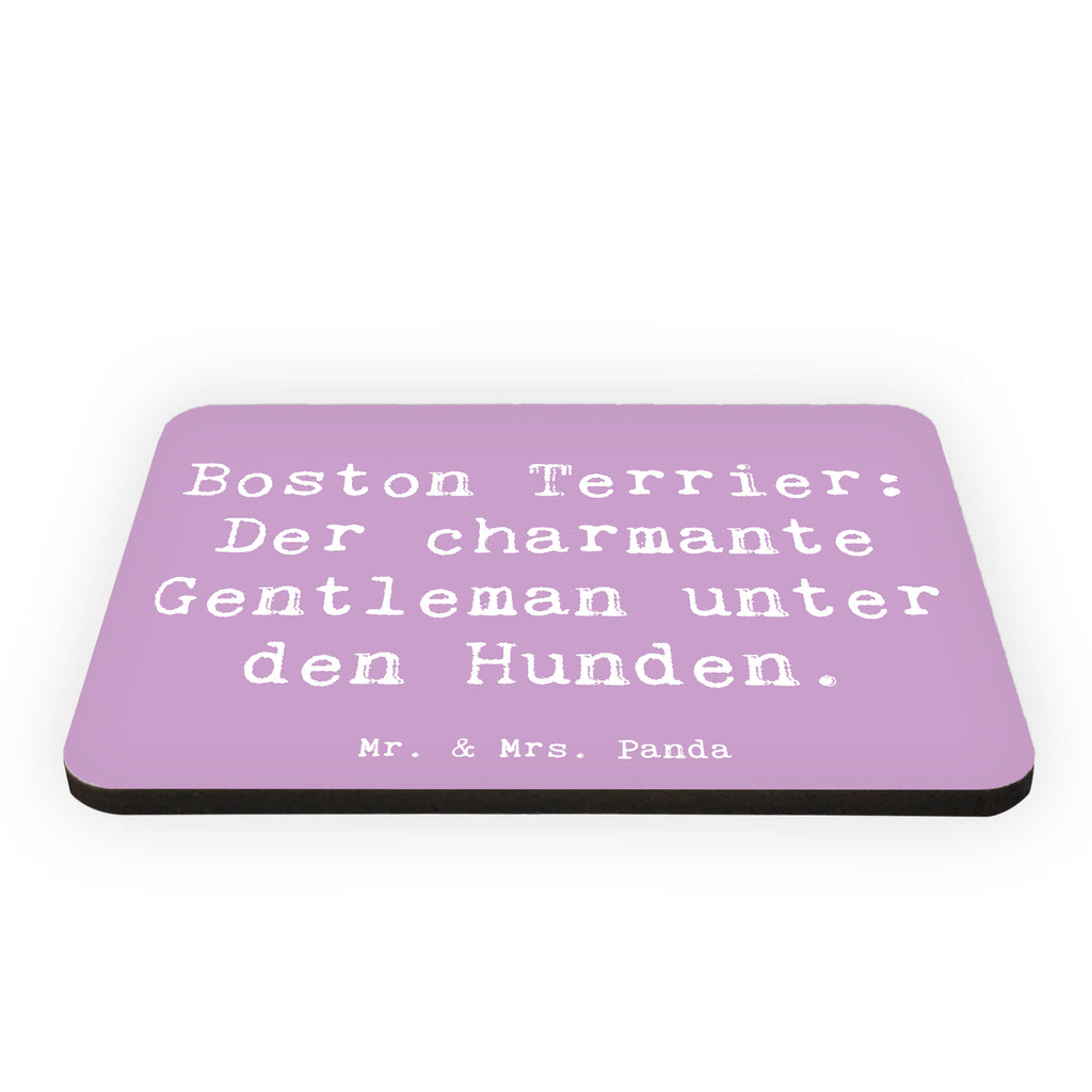 Magnet Spruch Boston Terrier Gentleman Kühlschrankmagnet, Pinnwandmagnet, Souvenir Magnet, Motivmagnete, Dekomagnet, Whiteboard Magnet, Notiz Magnet, Kühlschrank Dekoration, Hund, Hunderasse, Rassehund, Hundebesitzer, Geschenk, Tierfreund, Schenken, Welpe