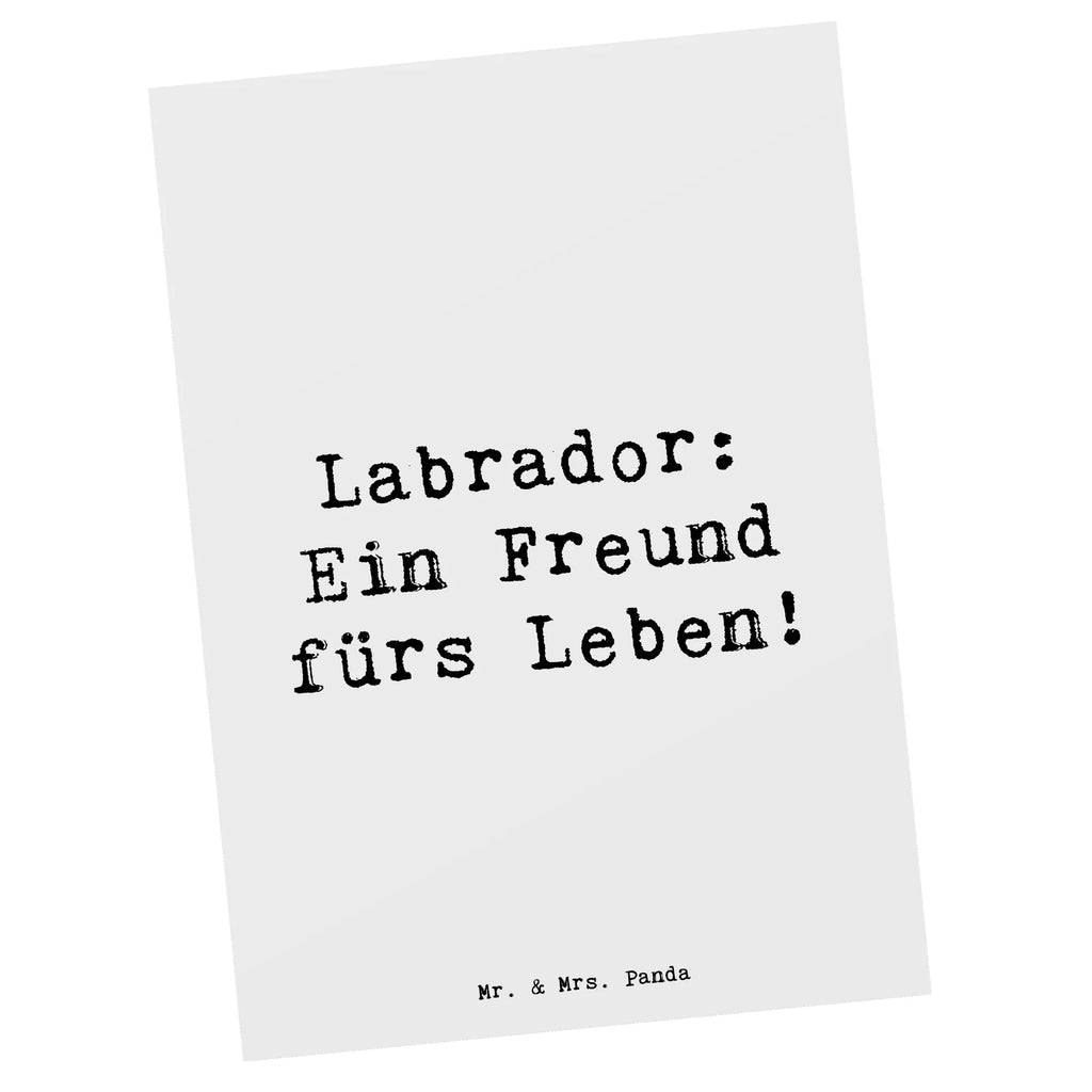 Postkarte Spruch Labrador Freund Postkarte, Karte, Geschenkkarte, Grußkarte, Einladung, Ansichtskarte, Geburtstagskarte, Einladungskarte, Dankeskarte, Ansichtskarten, Einladung Geburtstag, Einladungskarten Geburtstag, Hund, Hunderasse, Rassehund, Hundebesitzer, Geschenk, Tierfreund, Schenken, Welpe