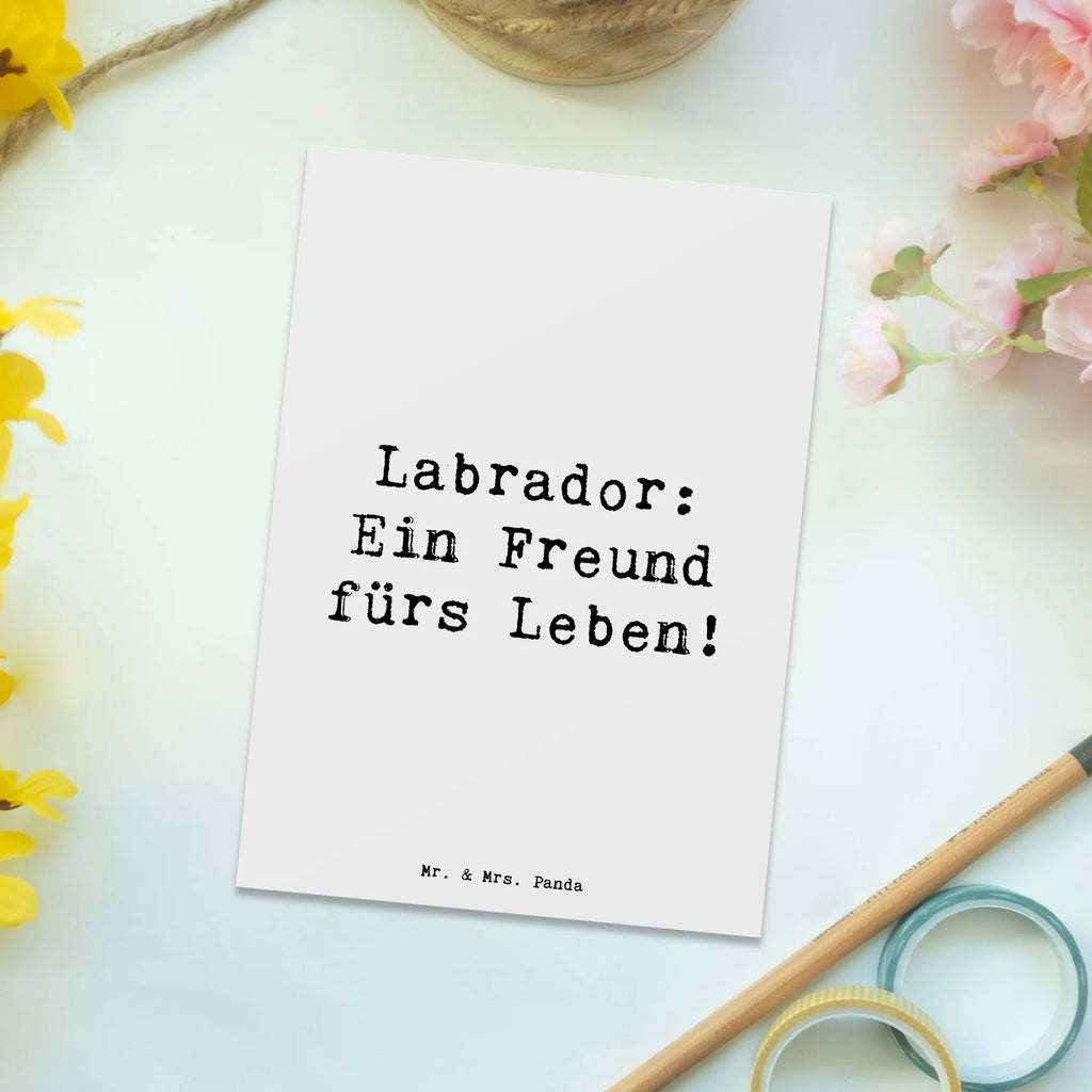 Postkarte Spruch Labrador Freund Postkarte, Karte, Geschenkkarte, Grußkarte, Einladung, Ansichtskarte, Geburtstagskarte, Einladungskarte, Dankeskarte, Ansichtskarten, Einladung Geburtstag, Einladungskarten Geburtstag, Hund, Hunderasse, Rassehund, Hundebesitzer, Geschenk, Tierfreund, Schenken, Welpe