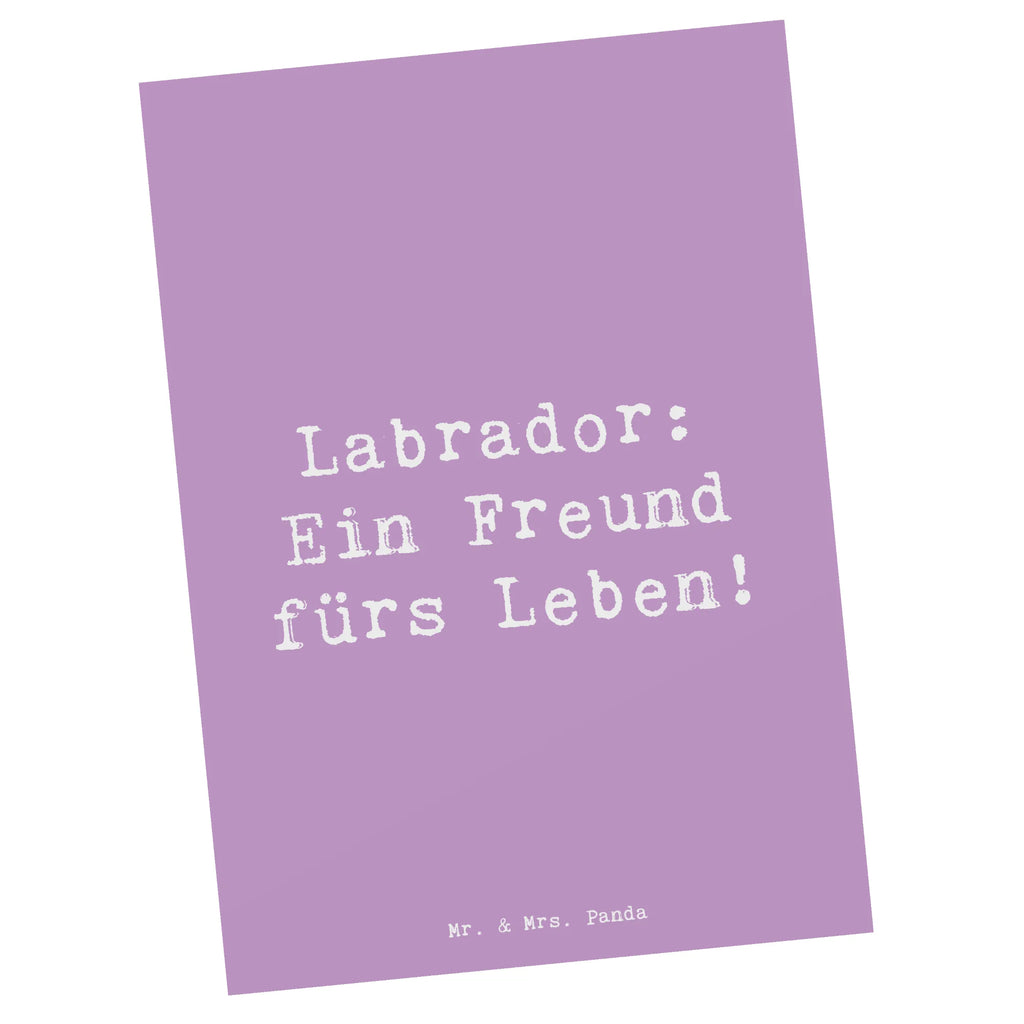 Postkarte Spruch Labrador Freund Postkarte, Karte, Geschenkkarte, Grußkarte, Einladung, Ansichtskarte, Geburtstagskarte, Einladungskarte, Dankeskarte, Ansichtskarten, Einladung Geburtstag, Einladungskarten Geburtstag, Hund, Hunderasse, Rassehund, Hundebesitzer, Geschenk, Tierfreund, Schenken, Welpe