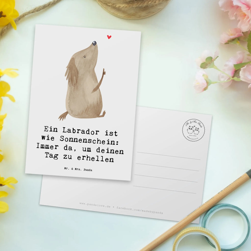 Postkarte Labrador Sonnenschein Postkarte, Karte, Geschenkkarte, Grußkarte, Einladung, Ansichtskarte, Geburtstagskarte, Einladungskarte, Dankeskarte, Ansichtskarten, Einladung Geburtstag, Einladungskarten Geburtstag, Hund, Hunderasse, Rassehund, Hundebesitzer, Geschenk, Tierfreund, Schenken, Welpe