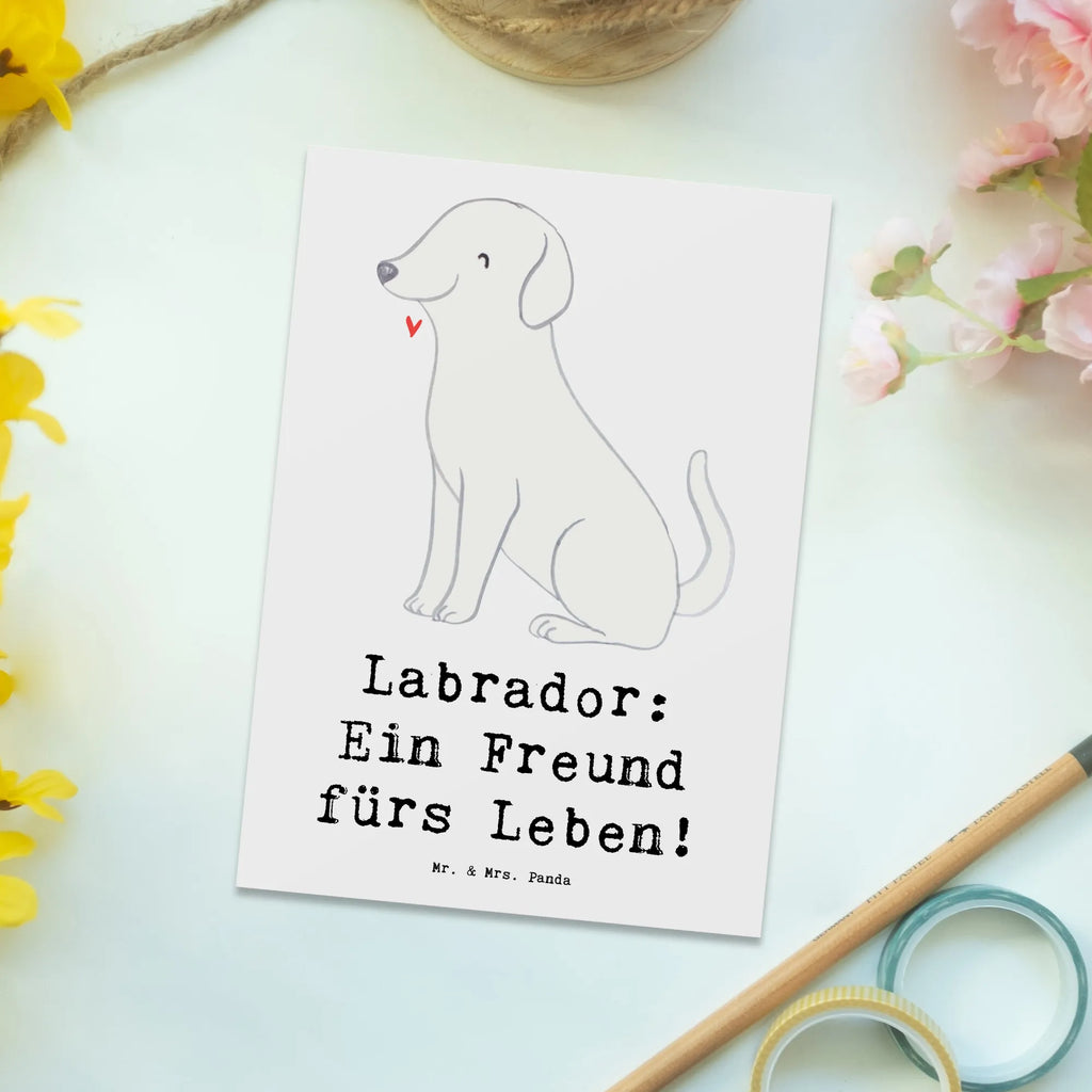 Postkarte Labrador Freund Postkarte, Karte, Geschenkkarte, Grußkarte, Einladung, Ansichtskarte, Geburtstagskarte, Einladungskarte, Dankeskarte, Ansichtskarten, Einladung Geburtstag, Einladungskarten Geburtstag, Hund, Hunderasse, Rassehund, Hundebesitzer, Geschenk, Tierfreund, Schenken, Welpe