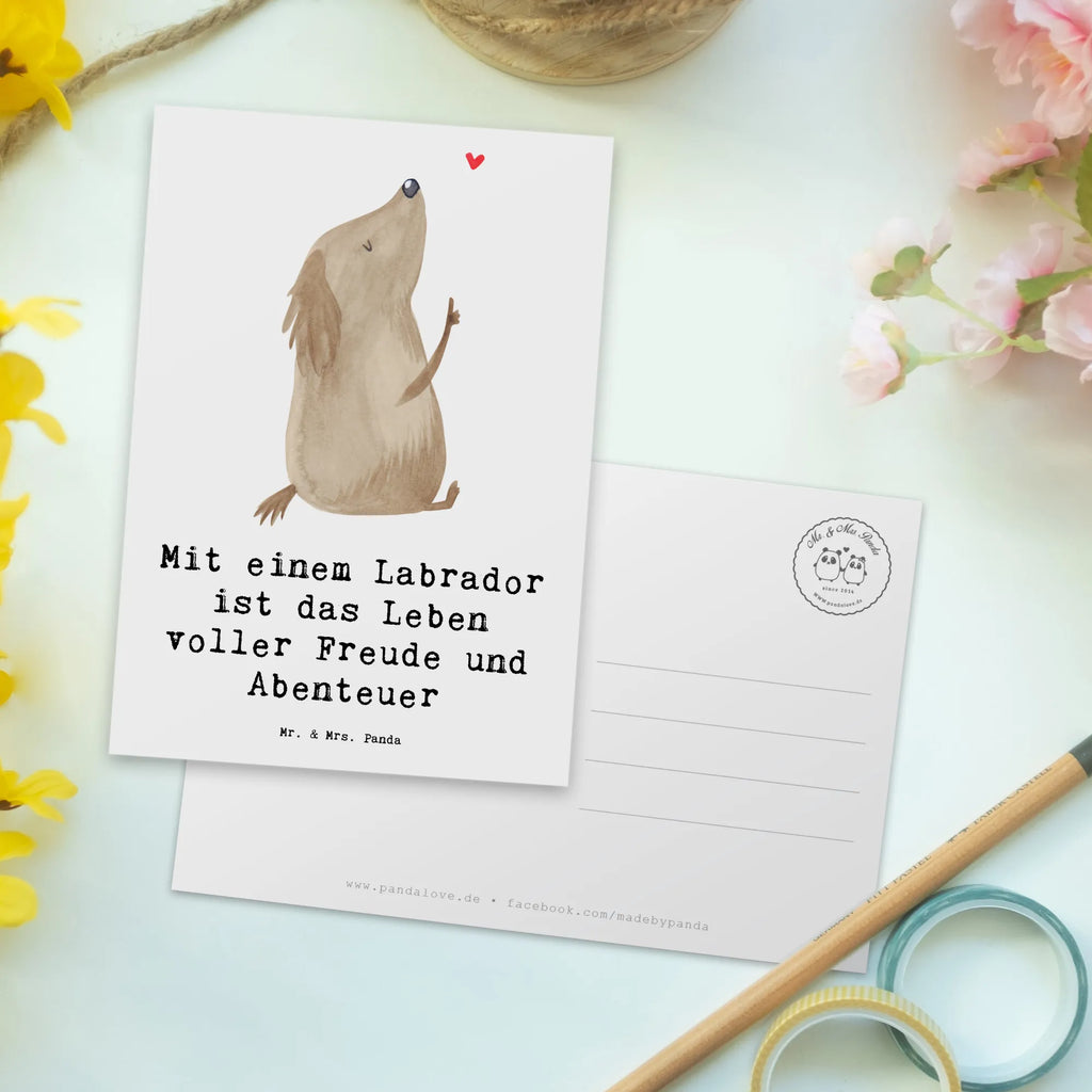 Postkarte Labradorleben Postkarte, Karte, Geschenkkarte, Grußkarte, Einladung, Ansichtskarte, Geburtstagskarte, Einladungskarte, Dankeskarte, Ansichtskarten, Einladung Geburtstag, Einladungskarten Geburtstag, Hund, Hunderasse, Rassehund, Hundebesitzer, Geschenk, Tierfreund, Schenken, Welpe