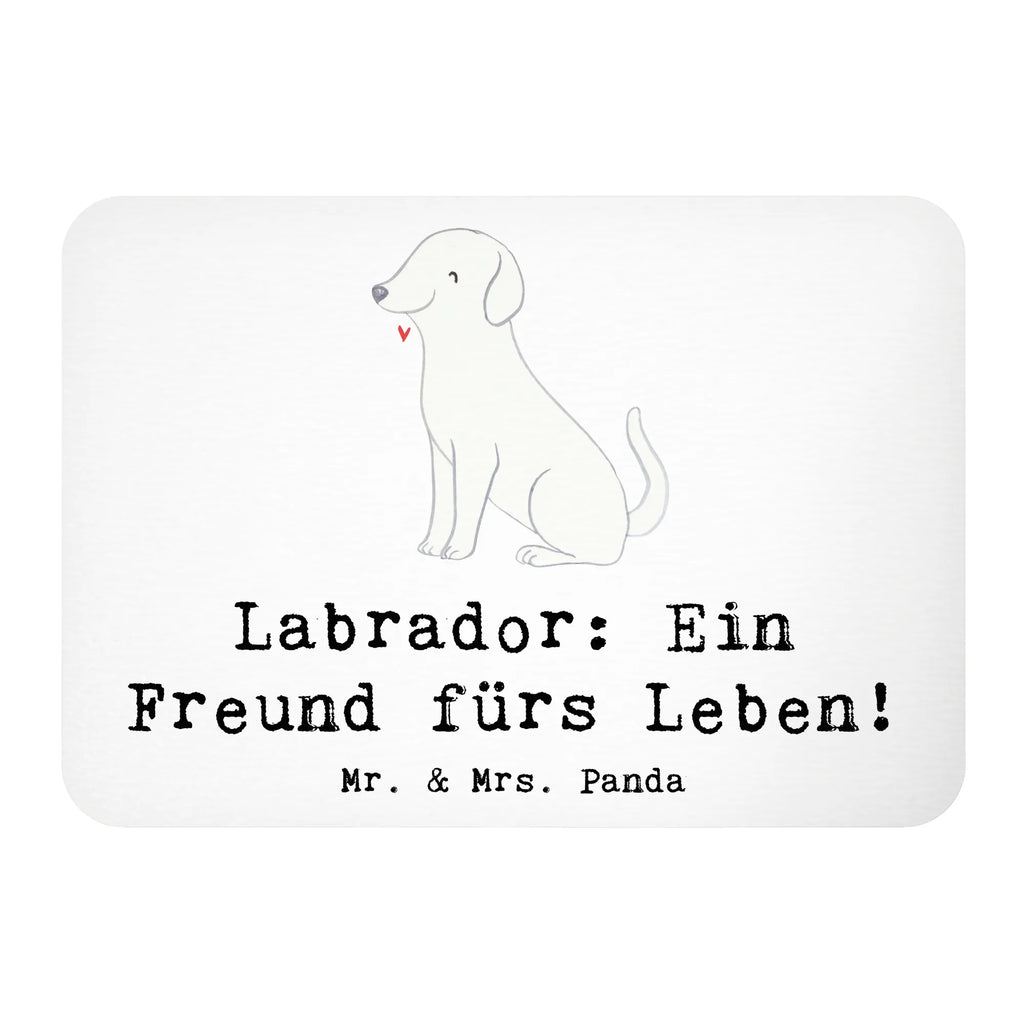 Magnet Labrador Freund Kühlschrankmagnet, Pinnwandmagnet, Souvenir Magnet, Motivmagnete, Dekomagnet, Whiteboard Magnet, Notiz Magnet, Kühlschrank Dekoration, Hund, Hunderasse, Rassehund, Hundebesitzer, Geschenk, Tierfreund, Schenken, Welpe