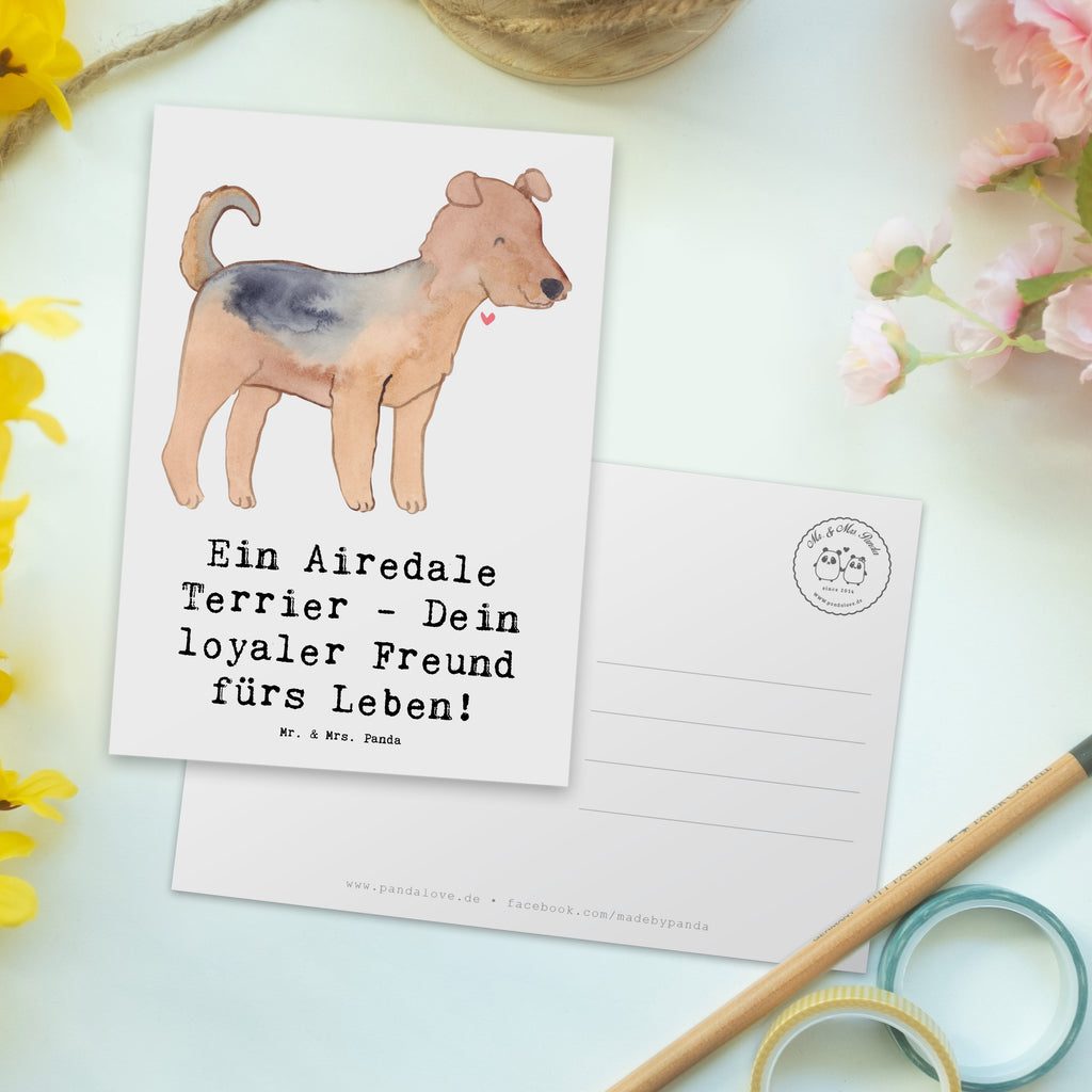 Postkarte Airedale Terrier Postkarte, Karte, Geschenkkarte, Grußkarte, Einladung, Ansichtskarte, Geburtstagskarte, Einladungskarte, Dankeskarte, Ansichtskarten, Einladung Geburtstag, Einladungskarten Geburtstag, Hund, Hunderasse, Rassehund, Hundebesitzer, Geschenk, Tierfreund, Schenken, Welpe