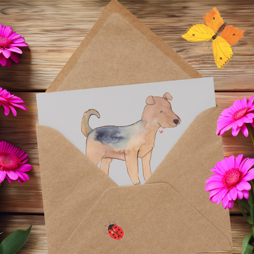 Deluxe Karte Airedale Terrier Abenteuer Karte, Grußkarte, Klappkarte, Einladungskarte, Glückwunschkarte, Hochzeitskarte, Geburtstagskarte, Hochwertige Grußkarte, Hochwertige Klappkarte, Hund, Hunderasse, Rassehund, Hundebesitzer, Geschenk, Tierfreund, Schenken, Welpe