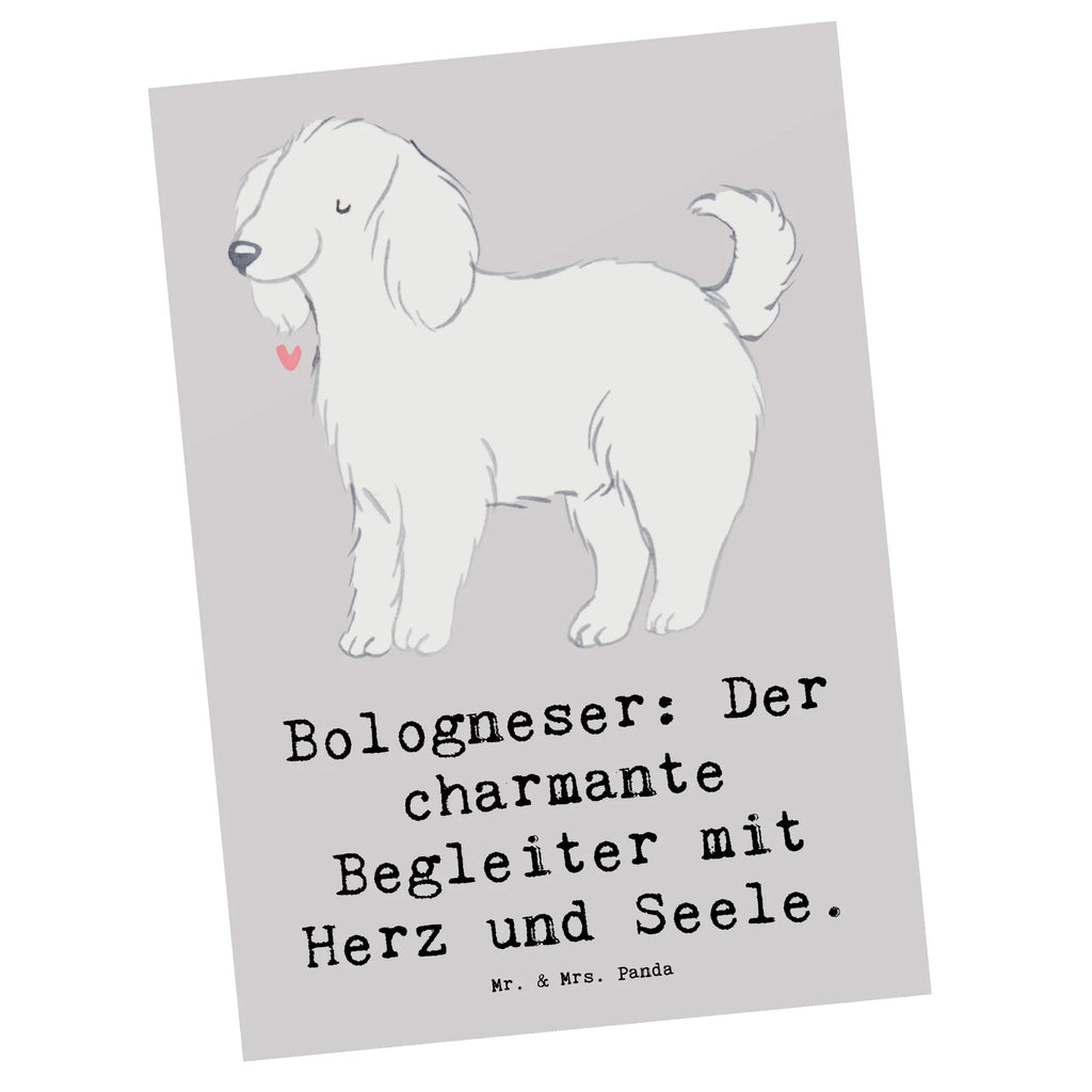 Postkarte Bologneser Begleiter Postkarte, Karte, Geschenkkarte, Grußkarte, Einladung, Ansichtskarte, Geburtstagskarte, Einladungskarte, Dankeskarte, Ansichtskarten, Einladung Geburtstag, Einladungskarten Geburtstag, Hund, Hunderasse, Rassehund, Hundebesitzer, Geschenk, Tierfreund, Schenken, Welpe