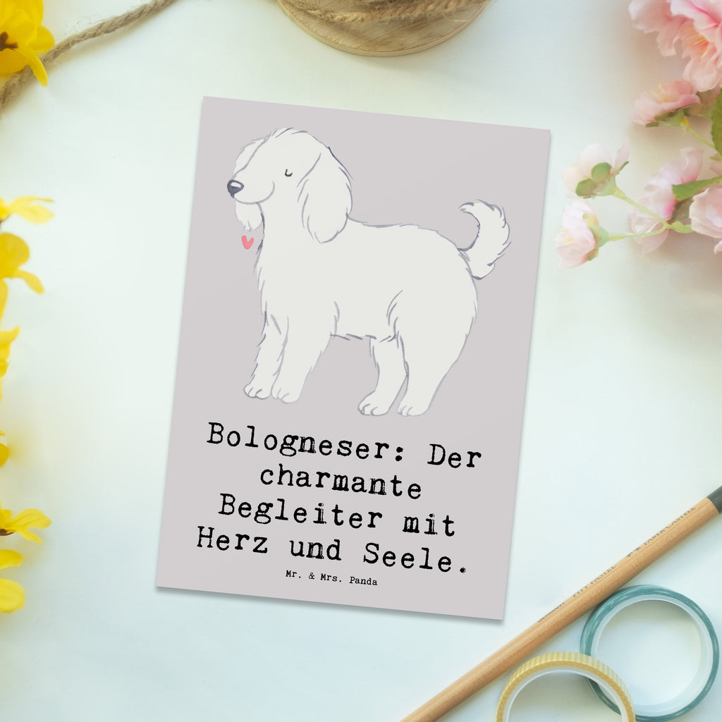 Postkarte Bologneser Begleiter Postkarte, Karte, Geschenkkarte, Grußkarte, Einladung, Ansichtskarte, Geburtstagskarte, Einladungskarte, Dankeskarte, Ansichtskarten, Einladung Geburtstag, Einladungskarten Geburtstag, Hund, Hunderasse, Rassehund, Hundebesitzer, Geschenk, Tierfreund, Schenken, Welpe