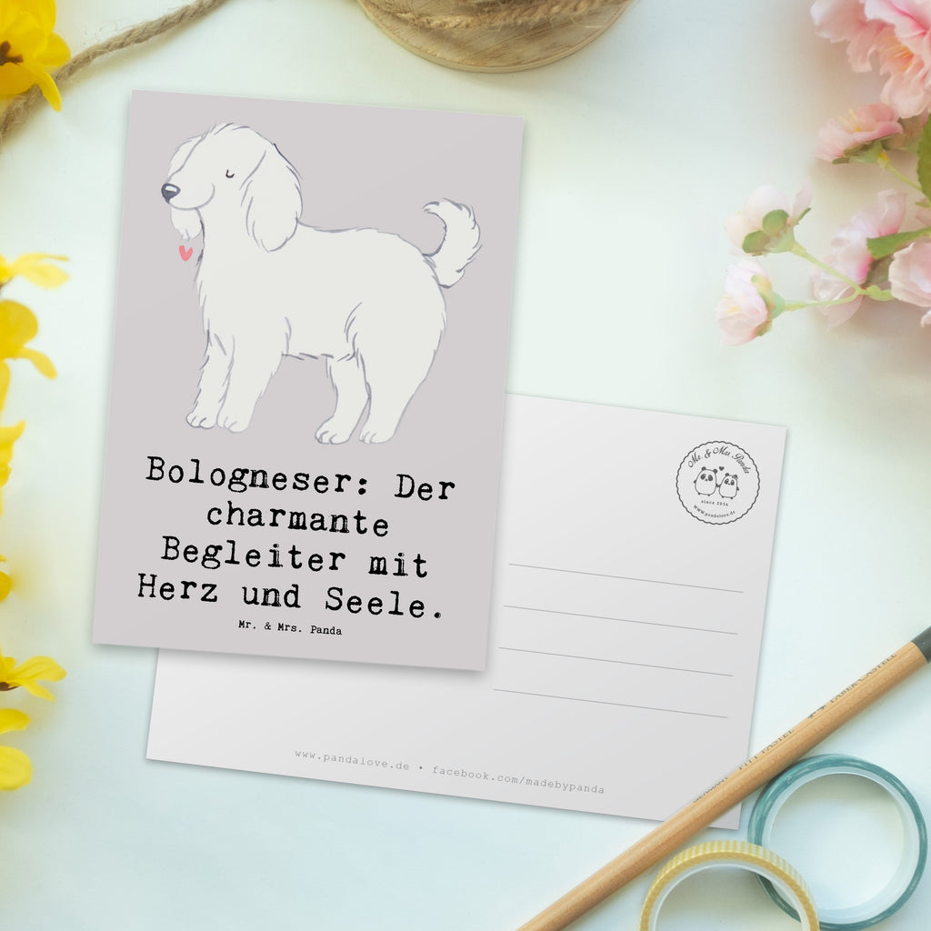 Postkarte Bologneser Begleiter Postkarte, Karte, Geschenkkarte, Grußkarte, Einladung, Ansichtskarte, Geburtstagskarte, Einladungskarte, Dankeskarte, Ansichtskarten, Einladung Geburtstag, Einladungskarten Geburtstag, Hund, Hunderasse, Rassehund, Hundebesitzer, Geschenk, Tierfreund, Schenken, Welpe