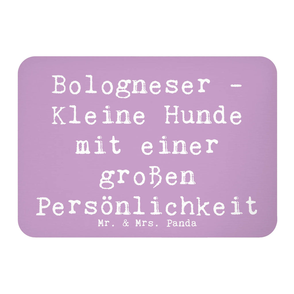 Magnet Spruch Bologneser Charakterstark Kühlschrankmagnet, Pinnwandmagnet, Souvenir Magnet, Motivmagnete, Dekomagnet, Whiteboard Magnet, Notiz Magnet, Kühlschrank Dekoration, Hund, Hunderasse, Rassehund, Hundebesitzer, Geschenk, Tierfreund, Schenken, Welpe