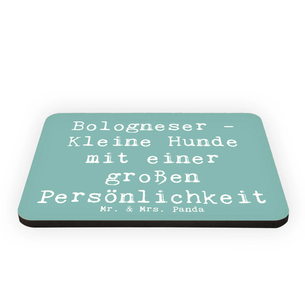 Magnet Spruch Bologneser Charakterstark Kühlschrankmagnet, Pinnwandmagnet, Souvenir Magnet, Motivmagnete, Dekomagnet, Whiteboard Magnet, Notiz Magnet, Kühlschrank Dekoration, Hund, Hunderasse, Rassehund, Hundebesitzer, Geschenk, Tierfreund, Schenken, Welpe