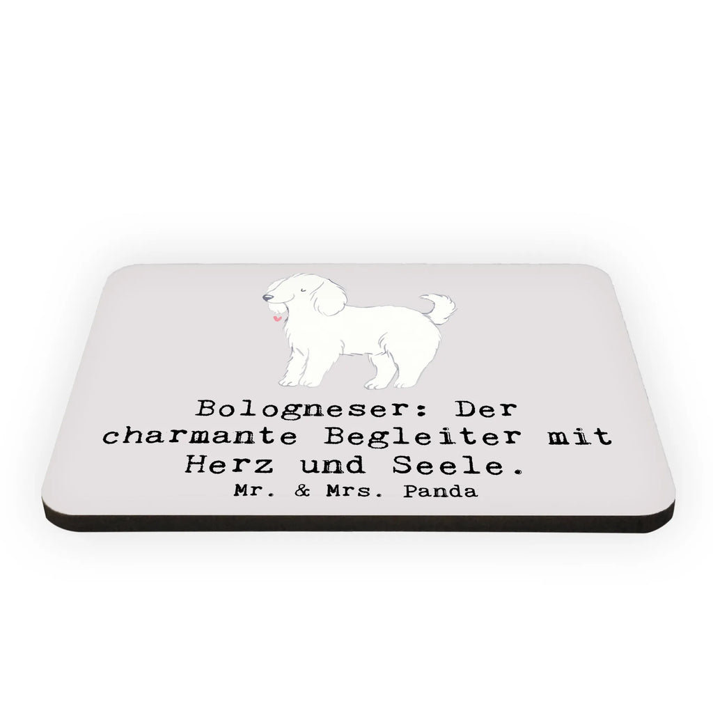 Magnet Bologneser Begleiter Kühlschrankmagnet, Pinnwandmagnet, Souvenir Magnet, Motivmagnete, Dekomagnet, Whiteboard Magnet, Notiz Magnet, Kühlschrank Dekoration, Hund, Hunderasse, Rassehund, Hundebesitzer, Geschenk, Tierfreund, Schenken, Welpe