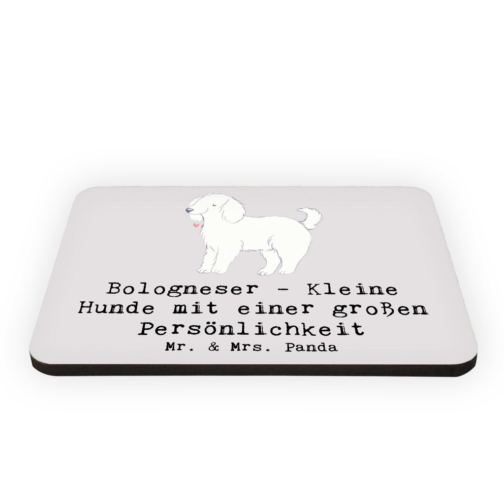 Magnet Bologneser Charakterstark Kühlschrankmagnet, Pinnwandmagnet, Souvenir Magnet, Motivmagnete, Dekomagnet, Whiteboard Magnet, Notiz Magnet, Kühlschrank Dekoration, Hund, Hunderasse, Rassehund, Hundebesitzer, Geschenk, Tierfreund, Schenken, Welpe