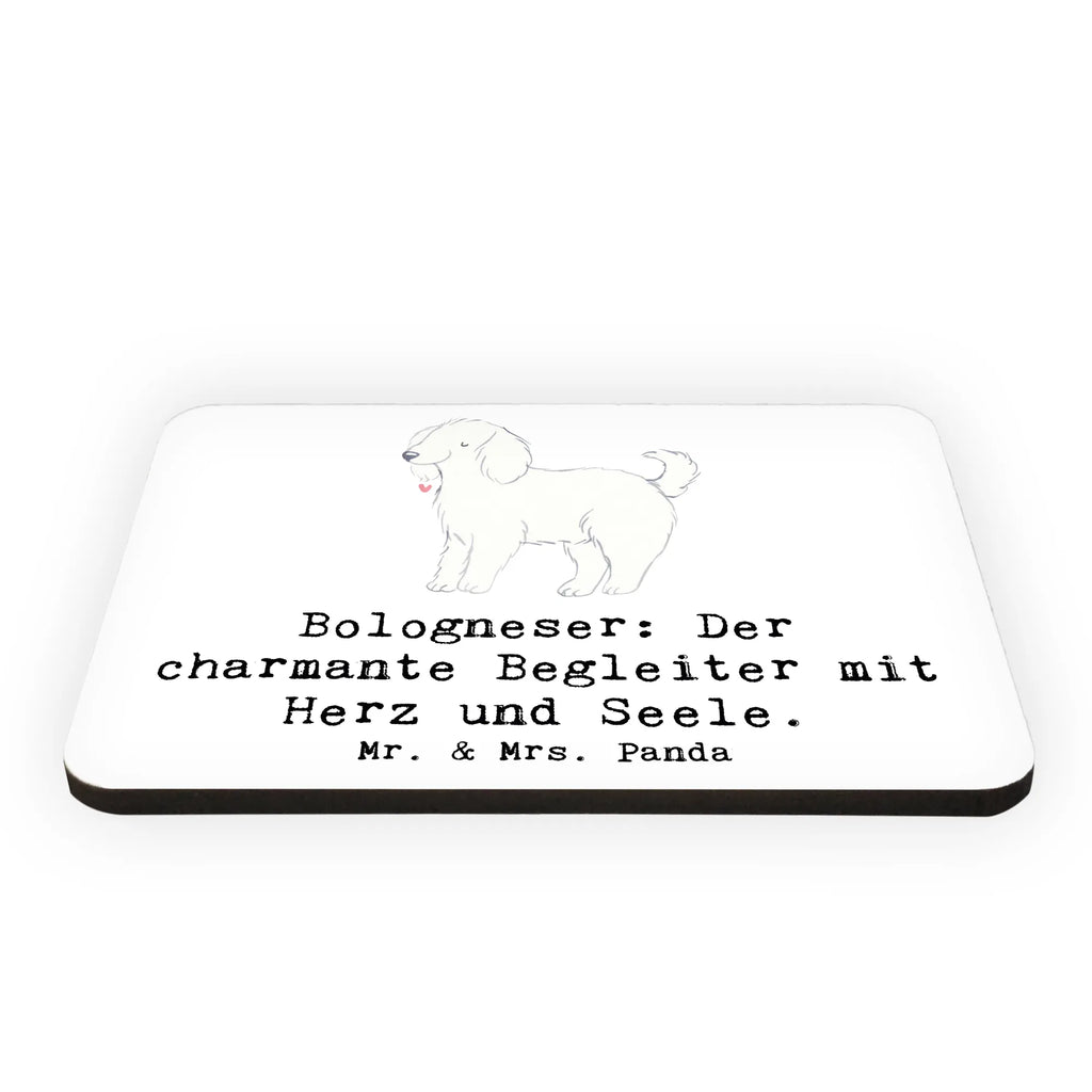 Magnet Bologneser Begleiter Kühlschrankmagnet, Pinnwandmagnet, Souvenir Magnet, Motivmagnete, Dekomagnet, Whiteboard Magnet, Notiz Magnet, Kühlschrank Dekoration, Hund, Hunderasse, Rassehund, Hundebesitzer, Geschenk, Tierfreund, Schenken, Welpe