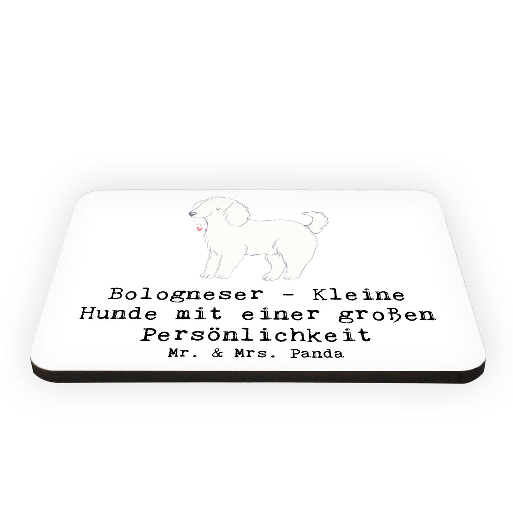 Magnet Bologneser Charakterstark Kühlschrankmagnet, Pinnwandmagnet, Souvenir Magnet, Motivmagnete, Dekomagnet, Whiteboard Magnet, Notiz Magnet, Kühlschrank Dekoration, Hund, Hunderasse, Rassehund, Hundebesitzer, Geschenk, Tierfreund, Schenken, Welpe