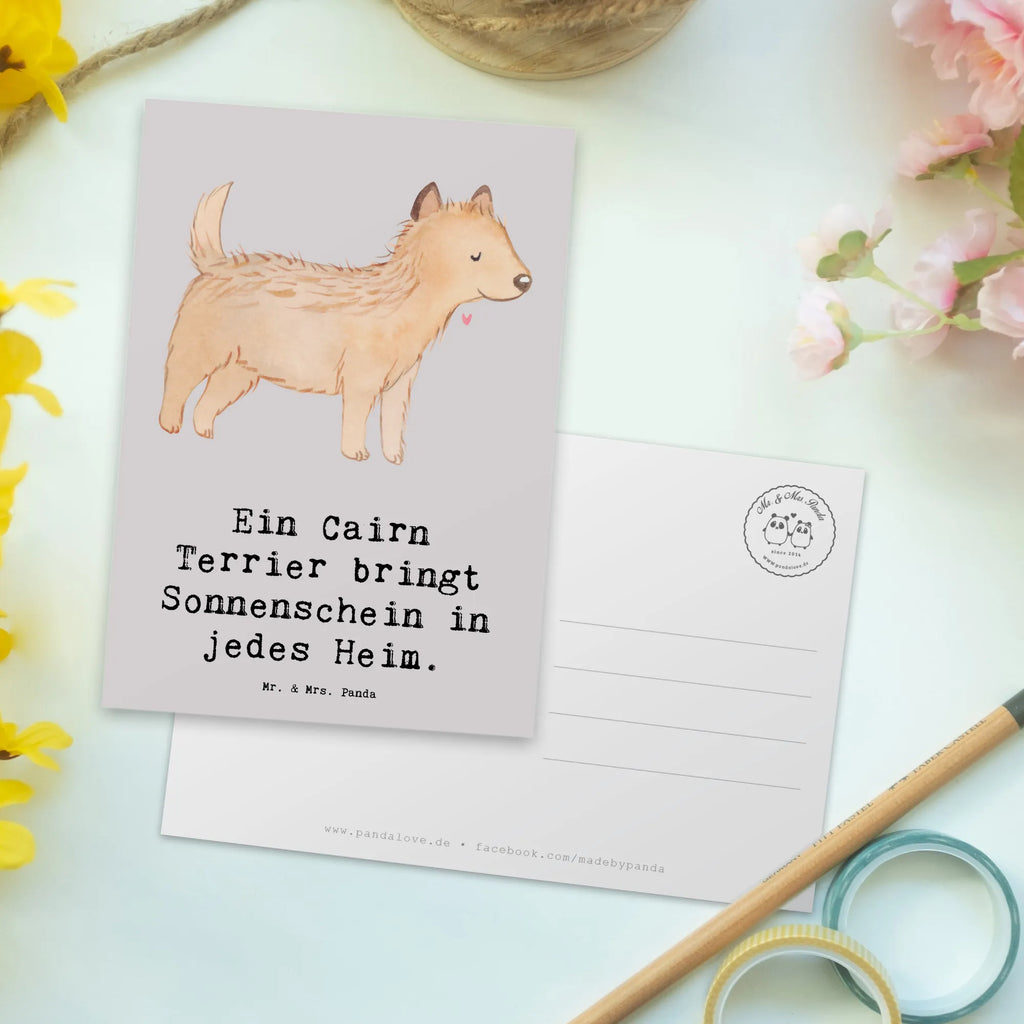 Postkarte Cairn Terrier Glück Postkarte, Karte, Geschenkkarte, Grußkarte, Einladung, Ansichtskarte, Geburtstagskarte, Einladungskarte, Dankeskarte, Ansichtskarten, Einladung Geburtstag, Einladungskarten Geburtstag, Hund, Hunderasse, Rassehund, Hundebesitzer, Geschenk, Tierfreund, Schenken, Welpe