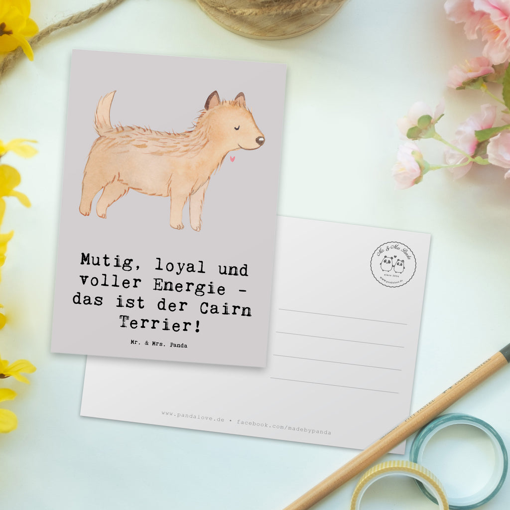 Postkarte Mutiger Cairn Terrier Postkarte, Karte, Geschenkkarte, Grußkarte, Einladung, Ansichtskarte, Geburtstagskarte, Einladungskarte, Dankeskarte, Ansichtskarten, Einladung Geburtstag, Einladungskarten Geburtstag, Hund, Hunderasse, Rassehund, Hundebesitzer, Geschenk, Tierfreund, Schenken, Welpe