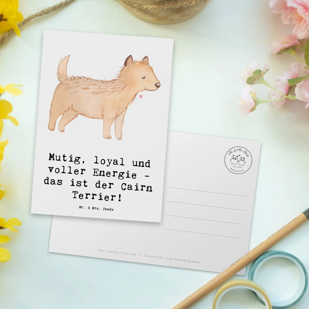 Postkarte Mutiger Cairn Terrier Postkarte, Karte, Geschenkkarte, Grußkarte, Einladung, Ansichtskarte, Geburtstagskarte, Einladungskarte, Dankeskarte, Ansichtskarten, Einladung Geburtstag, Einladungskarten Geburtstag, Hund, Hunderasse, Rassehund, Hundebesitzer, Geschenk, Tierfreund, Schenken, Welpe