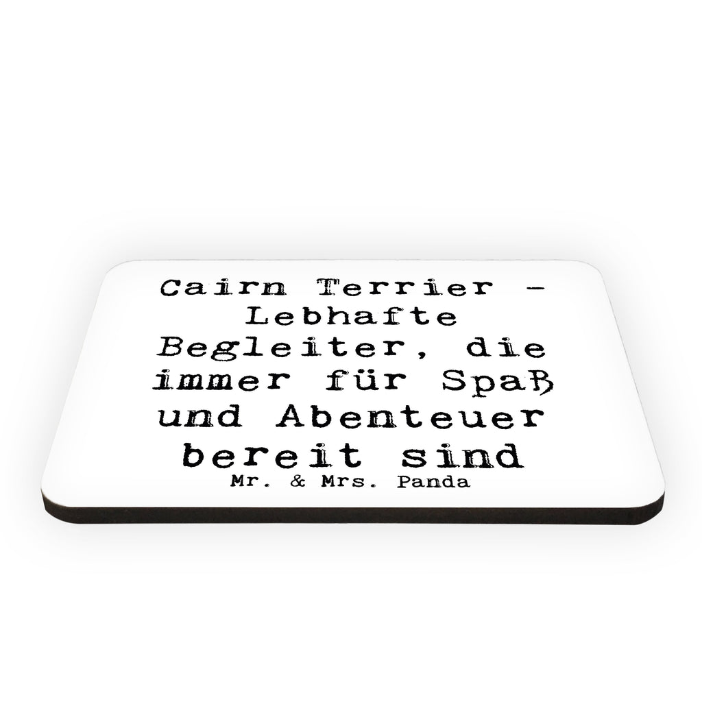 Magnet Spruch Cairn Terrier Begleiter Kühlschrankmagnet, Pinnwandmagnet, Souvenir Magnet, Motivmagnete, Dekomagnet, Whiteboard Magnet, Notiz Magnet, Kühlschrank Dekoration, Hund, Hunderasse, Rassehund, Hundebesitzer, Geschenk, Tierfreund, Schenken, Welpe