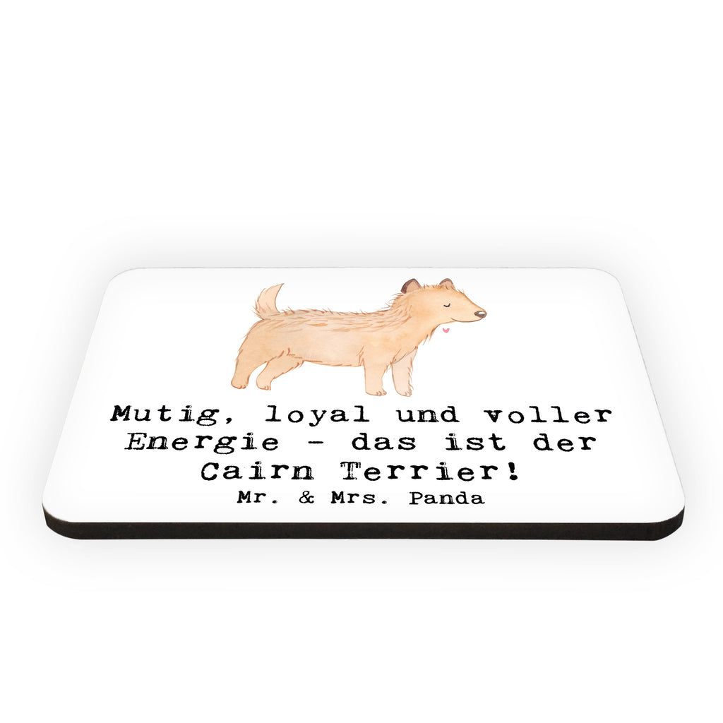 Magnet Mutiger Cairn Terrier Kühlschrankmagnet, Pinnwandmagnet, Souvenir Magnet, Motivmagnete, Dekomagnet, Whiteboard Magnet, Notiz Magnet, Kühlschrank Dekoration, Hund, Hunderasse, Rassehund, Hundebesitzer, Geschenk, Tierfreund, Schenken, Welpe