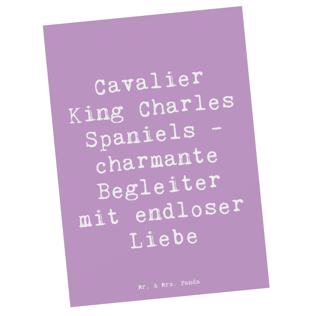 Postkarte Spruch Cavalier King Charles Spaniel Begleiter Postkarte, Karte, Geschenkkarte, Grußkarte, Einladung, Ansichtskarte, Geburtstagskarte, Einladungskarte, Dankeskarte, Ansichtskarten, Einladung Geburtstag, Einladungskarten Geburtstag, Hund, Hunderasse, Rassehund, Hundebesitzer, Geschenk, Tierfreund, Schenken, Welpe