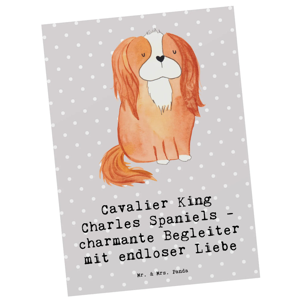 Postkarte Cavalier King Charles Spaniel Begleiter Postkarte, Karte, Geschenkkarte, Grußkarte, Einladung, Ansichtskarte, Geburtstagskarte, Einladungskarte, Dankeskarte, Ansichtskarten, Einladung Geburtstag, Einladungskarten Geburtstag, Hund, Hunderasse, Rassehund, Hundebesitzer, Geschenk, Tierfreund, Schenken, Welpe