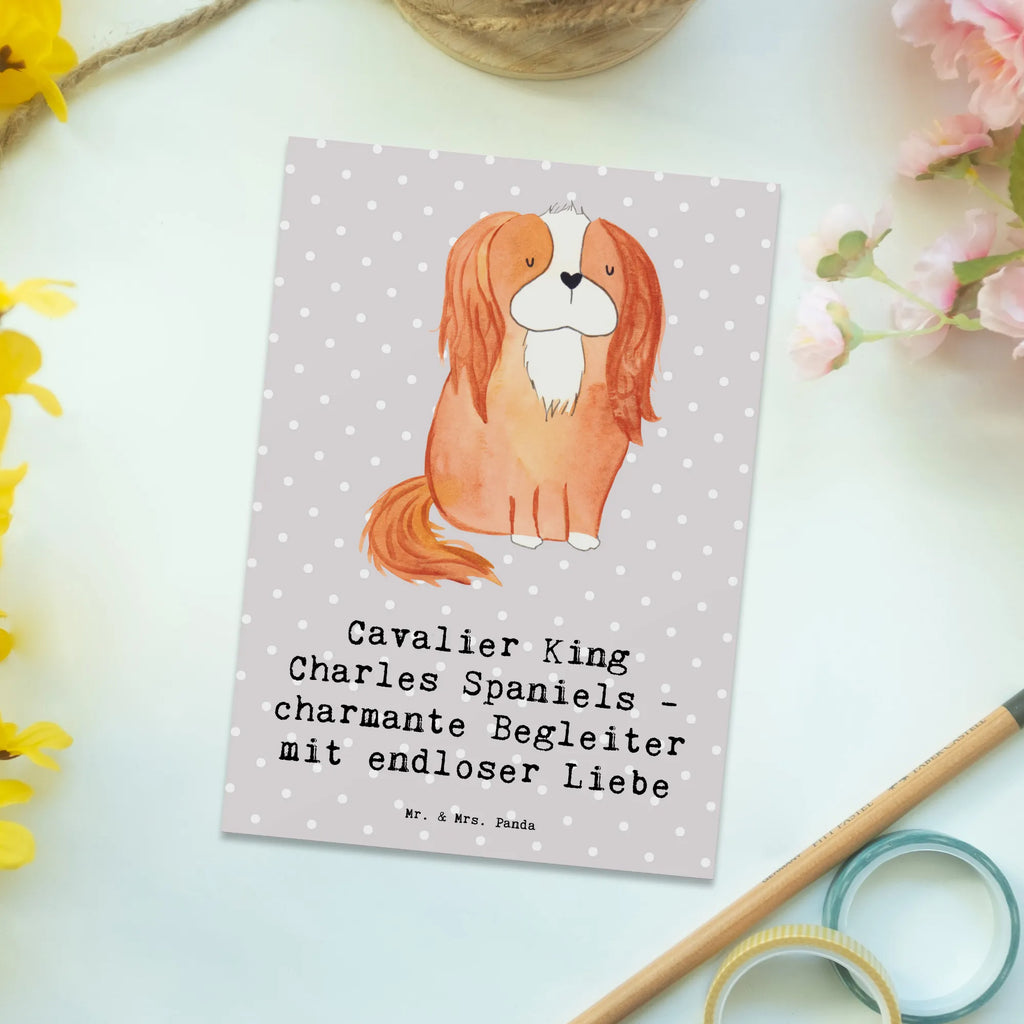 Postkarte Cavalier King Charles Spaniel Begleiter Postkarte, Karte, Geschenkkarte, Grußkarte, Einladung, Ansichtskarte, Geburtstagskarte, Einladungskarte, Dankeskarte, Ansichtskarten, Einladung Geburtstag, Einladungskarten Geburtstag, Hund, Hunderasse, Rassehund, Hundebesitzer, Geschenk, Tierfreund, Schenken, Welpe