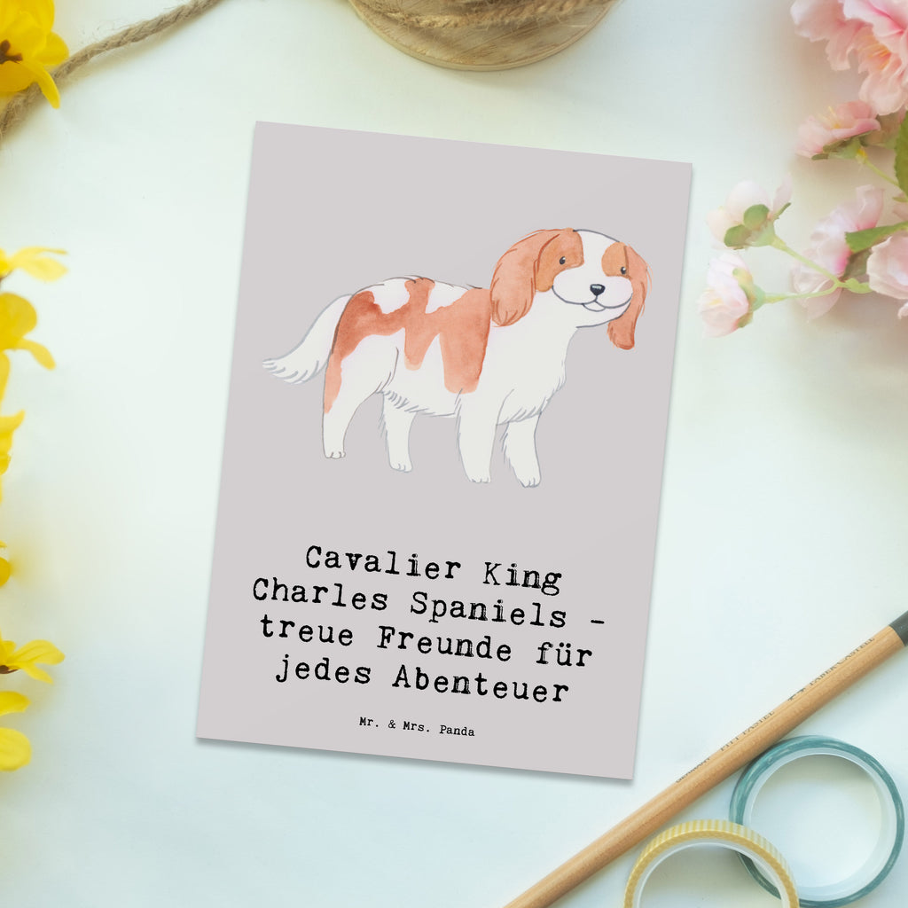 Postkarte Cavalier King Charles Spaniel Freunde Postkarte, Karte, Geschenkkarte, Grußkarte, Einladung, Ansichtskarte, Geburtstagskarte, Einladungskarte, Dankeskarte, Ansichtskarten, Einladung Geburtstag, Einladungskarten Geburtstag, Hund, Hunderasse, Rassehund, Hundebesitzer, Geschenk, Tierfreund, Schenken, Welpe