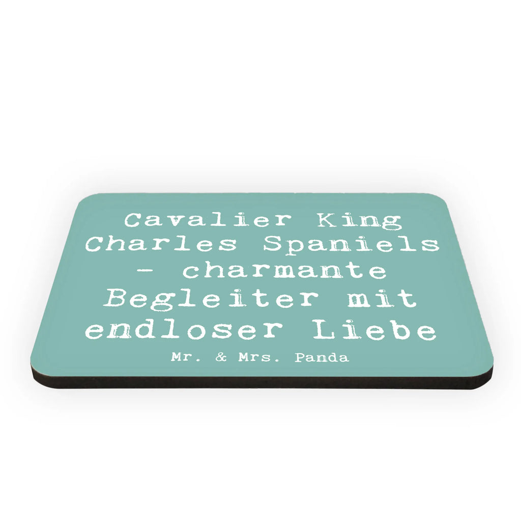 Magnet Spruch Cavalier King Charles Spaniel Begleiter Kühlschrankmagnet, Pinnwandmagnet, Souvenir Magnet, Motivmagnete, Dekomagnet, Whiteboard Magnet, Notiz Magnet, Kühlschrank Dekoration, Hund, Hunderasse, Rassehund, Hundebesitzer, Geschenk, Tierfreund, Schenken, Welpe