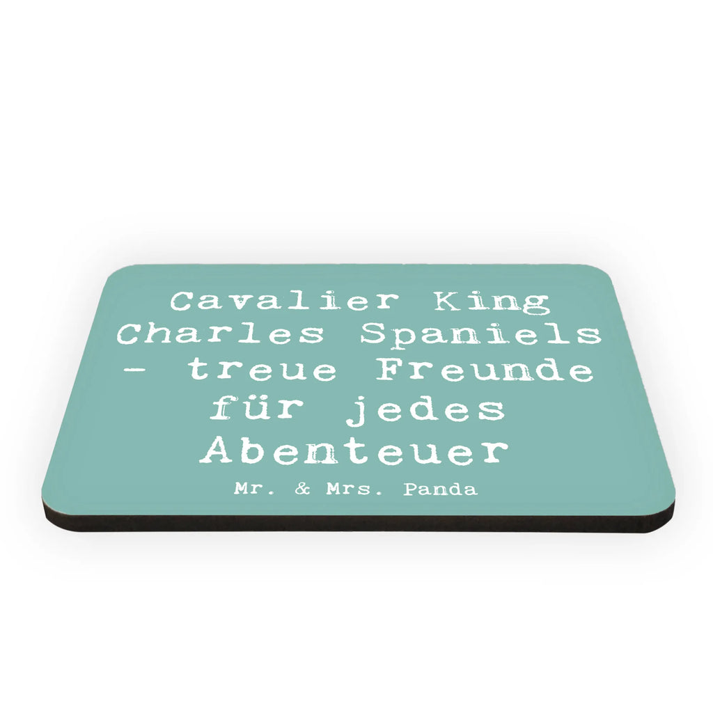 Magnet Spruch Cavalier King Charles Spaniel Freunde Kühlschrankmagnet, Pinnwandmagnet, Souvenir Magnet, Motivmagnete, Dekomagnet, Whiteboard Magnet, Notiz Magnet, Kühlschrank Dekoration, Hund, Hunderasse, Rassehund, Hundebesitzer, Geschenk, Tierfreund, Schenken, Welpe