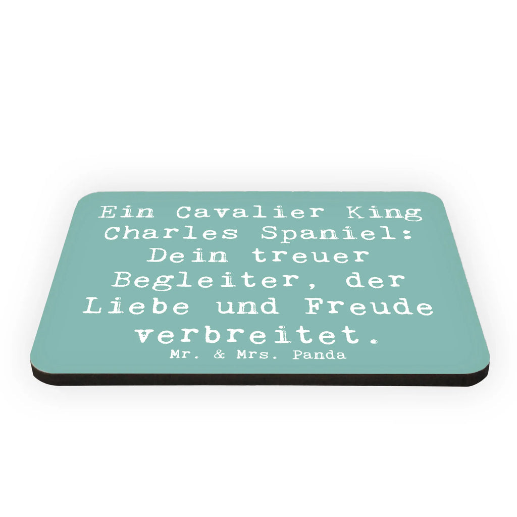 Magnet Spruch Cavalier King Charles Spaniel Kühlschrankmagnet, Pinnwandmagnet, Souvenir Magnet, Motivmagnete, Dekomagnet, Whiteboard Magnet, Notiz Magnet, Kühlschrank Dekoration, Hund, Hunderasse, Rassehund, Hundebesitzer, Geschenk, Tierfreund, Schenken, Welpe