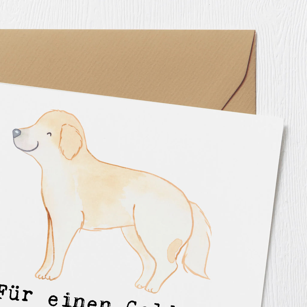 Deluxe Karte Golden Retriever Abenteuer Karte, Grußkarte, Klappkarte, Einladungskarte, Glückwunschkarte, Hochzeitskarte, Geburtstagskarte, Hochwertige Grußkarte, Hochwertige Klappkarte, Hund, Hunderasse, Rassehund, Hundebesitzer, Geschenk, Tierfreund, Schenken, Welpe