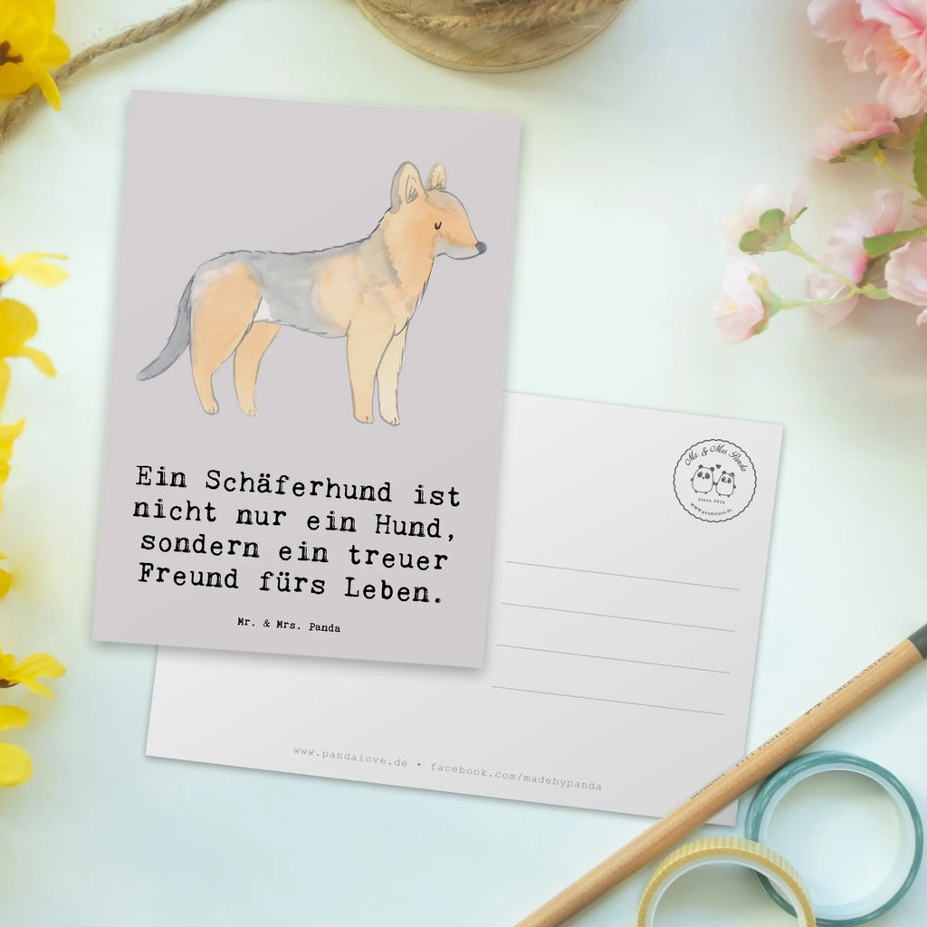 Postkarte Schäferhund Freund Postkarte, Karte, Geschenkkarte, Grußkarte, Einladung, Ansichtskarte, Geburtstagskarte, Einladungskarte, Dankeskarte, Ansichtskarten, Einladung Geburtstag, Einladungskarten Geburtstag, Hund, Hunderasse, Rassehund, Hundebesitzer, Geschenk, Tierfreund, Schenken, Welpe