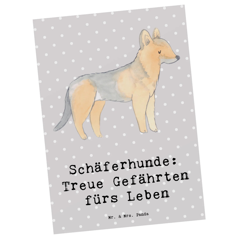 Postkarte Schäferhund Gefährten Postkarte, Karte, Geschenkkarte, Grußkarte, Einladung, Ansichtskarte, Geburtstagskarte, Einladungskarte, Dankeskarte, Ansichtskarten, Einladung Geburtstag, Einladungskarten Geburtstag, Hund, Hunderasse, Rassehund, Hundebesitzer, Geschenk, Tierfreund, Schenken, Welpe