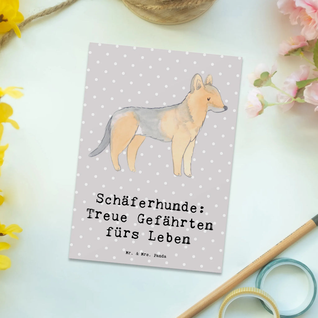 Postkarte Schäferhund Gefährten Postkarte, Karte, Geschenkkarte, Grußkarte, Einladung, Ansichtskarte, Geburtstagskarte, Einladungskarte, Dankeskarte, Ansichtskarten, Einladung Geburtstag, Einladungskarten Geburtstag, Hund, Hunderasse, Rassehund, Hundebesitzer, Geschenk, Tierfreund, Schenken, Welpe