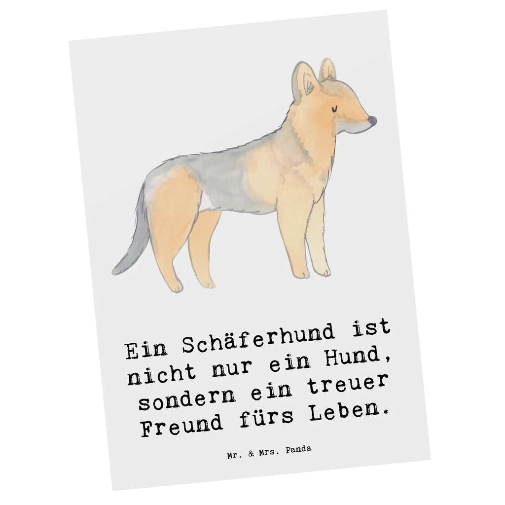 Postkarte Schäferhund Freund Postkarte, Karte, Geschenkkarte, Grußkarte, Einladung, Ansichtskarte, Geburtstagskarte, Einladungskarte, Dankeskarte, Ansichtskarten, Einladung Geburtstag, Einladungskarten Geburtstag, Hund, Hunderasse, Rassehund, Hundebesitzer, Geschenk, Tierfreund, Schenken, Welpe