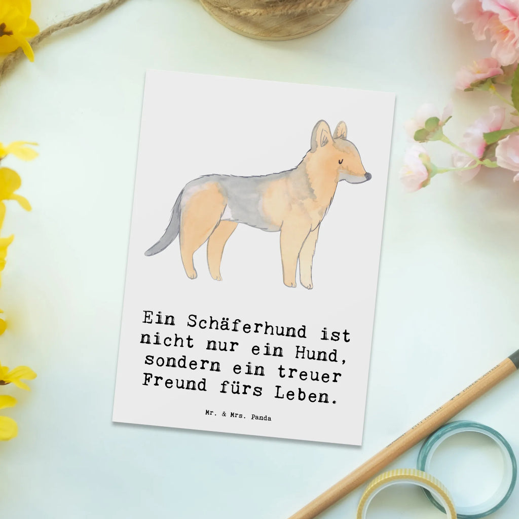 Postkarte Schäferhund Freund Postkarte, Karte, Geschenkkarte, Grußkarte, Einladung, Ansichtskarte, Geburtstagskarte, Einladungskarte, Dankeskarte, Ansichtskarten, Einladung Geburtstag, Einladungskarten Geburtstag, Hund, Hunderasse, Rassehund, Hundebesitzer, Geschenk, Tierfreund, Schenken, Welpe