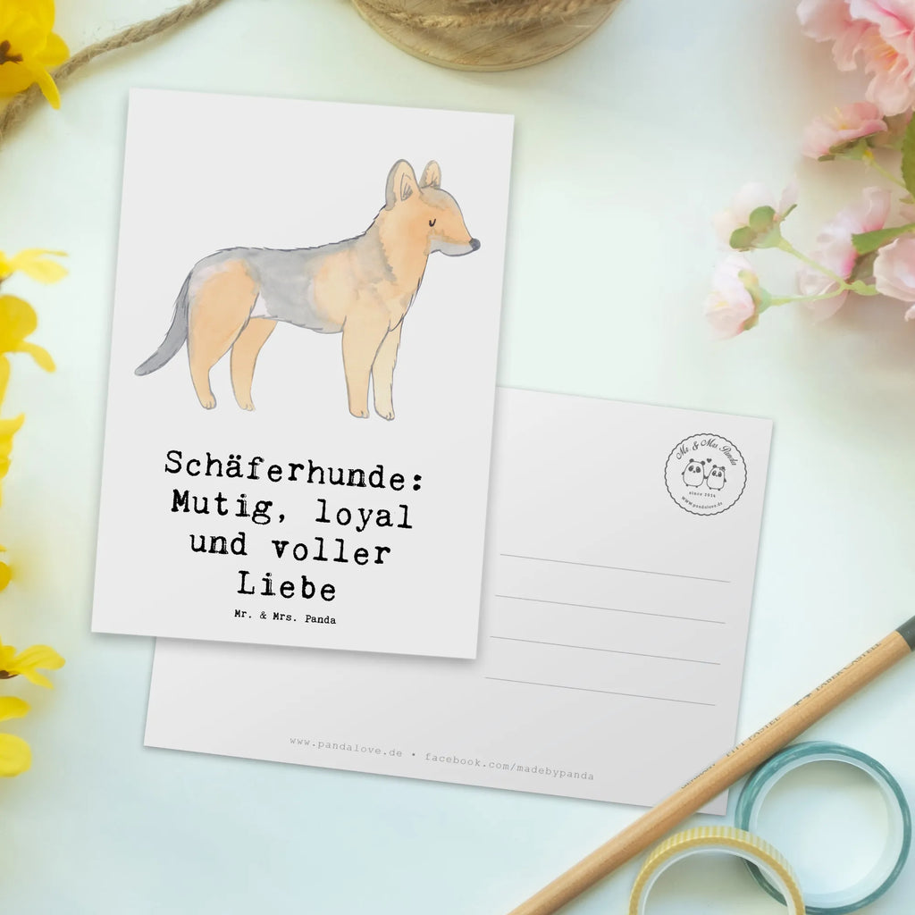 Postkarte Schäferhunde Freundschaft Postkarte, Karte, Geschenkkarte, Grußkarte, Einladung, Ansichtskarte, Geburtstagskarte, Einladungskarte, Dankeskarte, Ansichtskarten, Einladung Geburtstag, Einladungskarten Geburtstag, Hund, Hunderasse, Rassehund, Hundebesitzer, Geschenk, Tierfreund, Schenken, Welpe