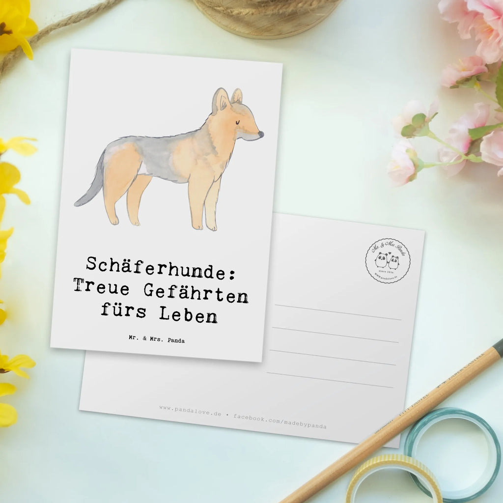 Postkarte Schäferhund Gefährten Postkarte, Karte, Geschenkkarte, Grußkarte, Einladung, Ansichtskarte, Geburtstagskarte, Einladungskarte, Dankeskarte, Ansichtskarten, Einladung Geburtstag, Einladungskarten Geburtstag, Hund, Hunderasse, Rassehund, Hundebesitzer, Geschenk, Tierfreund, Schenken, Welpe